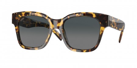 6S2016 Nusa Sunglasses