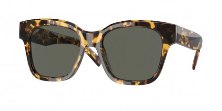 6S2016 Nusa Sunglasses