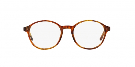 AR7004 Eyeglasses