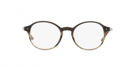 AR7004 Eyeglasses