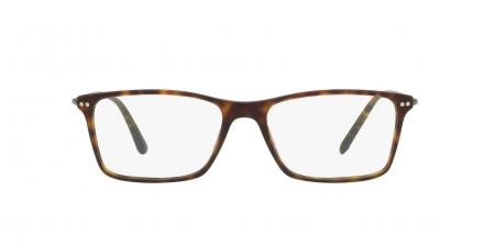 AR7037 Eyeglasses