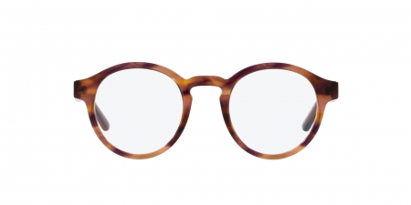 AR7206F Eyeglasses