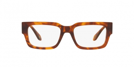 AR7243U Eyeglasses