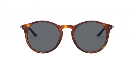 AR8121 Sunglasses