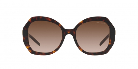 AR8180 Sunglasses