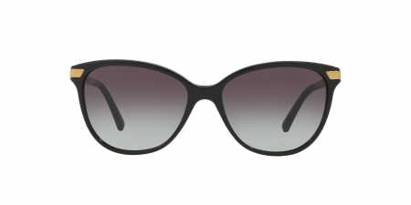 BE4216 Sunglasses