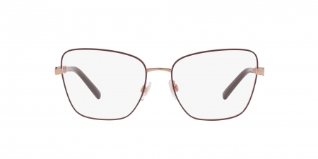 0DG1346 1333 OPTICAL