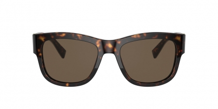 DG4390F Sunglasses