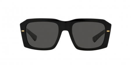 DG4430F Sunglasses