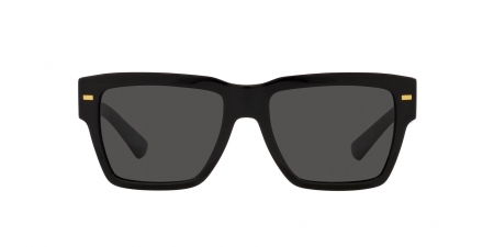 DG4431 Sunglasses
