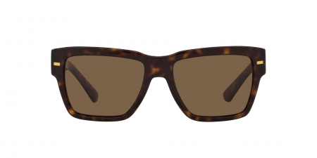 DG4431 Sunglasses