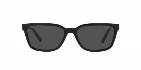 HC8328U C6196 Sunglasses