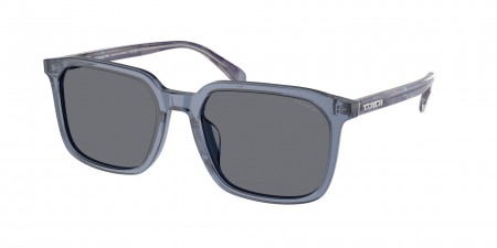HC8411U Cw405 Sunglasses