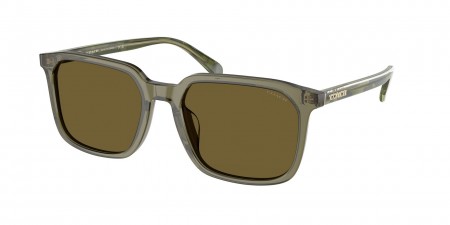 HC8411U Cw405 Sunglasses