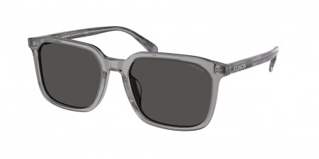 HC8411U Cw405 Sunglasses