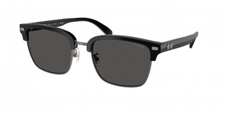 HC8412 Cw406 Sunglasses