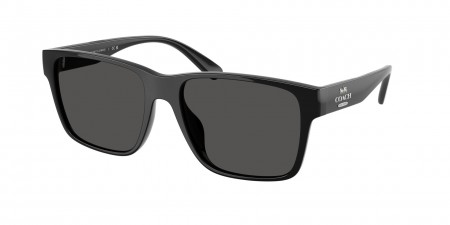 HC8417U Cw425 Sunglasses
