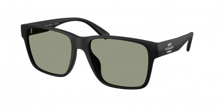 HC8417U Cw425 Sunglasses