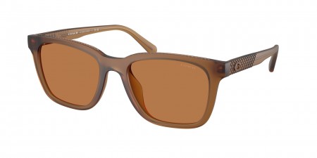 HC8426U Cad81 Sunglasses