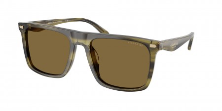 HC8440U Cby95 Sunglasses