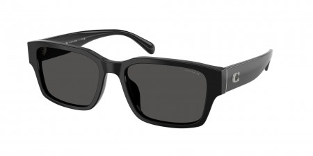 HC8441U Cby96 Sunglasses