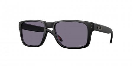 OO9509 Holbrook S Sunglasses