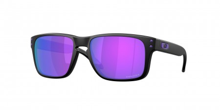 OO9509 Holbrook S Sunglasses
