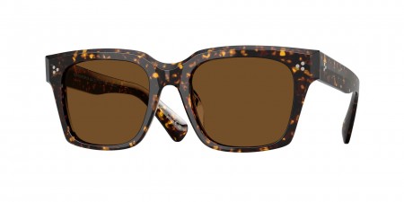 OV5564SU Ollice Sunglasses