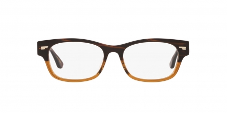 OV7982 Denton Eyeglasses