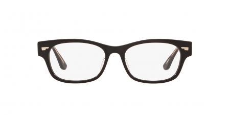 OV7982 Denton Eyeglasses