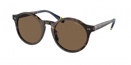 PH4204U Sunglasses