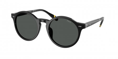PH4204U Sunglasses