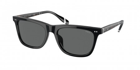 PH4205U Sunglasses