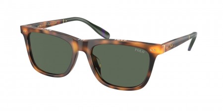 PH4205U Sunglasses
