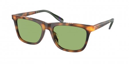 PH4205U Sunglasses
