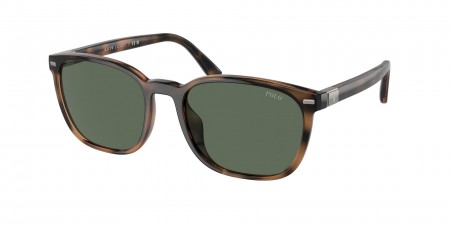 PH4208U Sunglasses