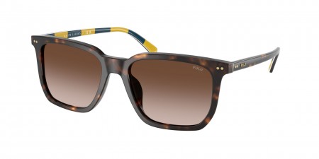 PH4224U Sunglasses
