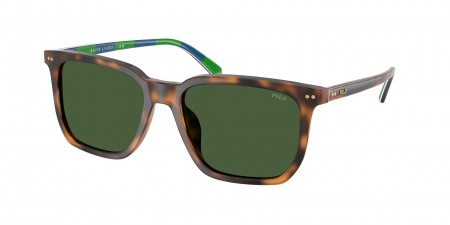 PH4224U Sunglasses
