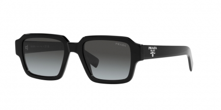 PR 02ZS Sunglasses