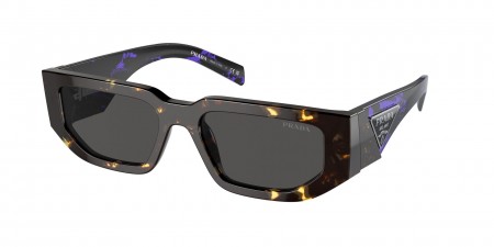 PR 09ZS Sunglasses