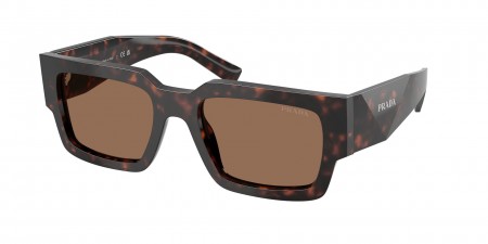 PR B17S Sunglasses