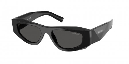 PR B19S Sunglasses