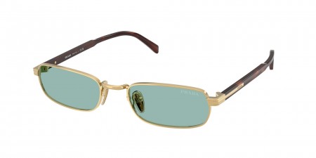 PR B54S Sunglasses