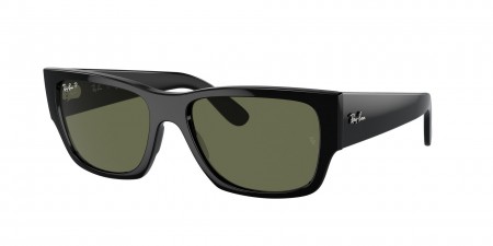 RB0947SF Carlos Sunglasses