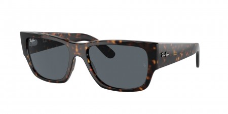RB0947SF Carlos Sunglasses