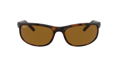 RB2027 Predator 2 Sunglasses