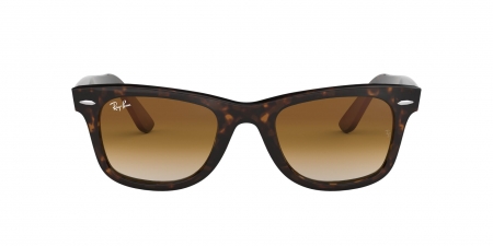 RB2140 Wayfarer Sunglasses
