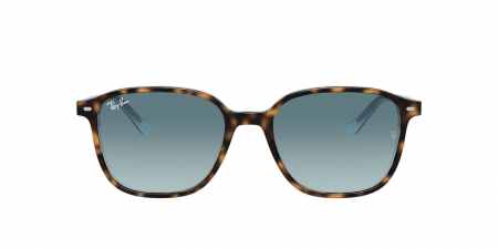 RB2193 Leonard Sunglasses