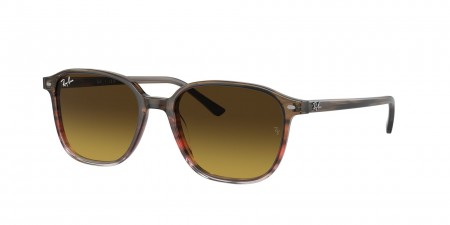 RB2193 Leonard Sunglasses