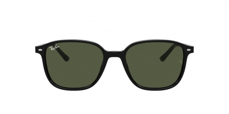 RB2193 Leonard Sunglasses